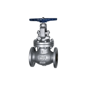 Globe Valve