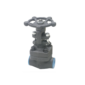 PP PVC CPVC Gate Valve