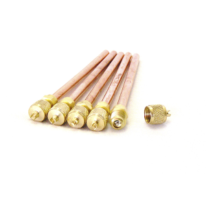 ACCESS VALVES
