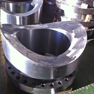 SPECIAL NOZZLE FLANGES